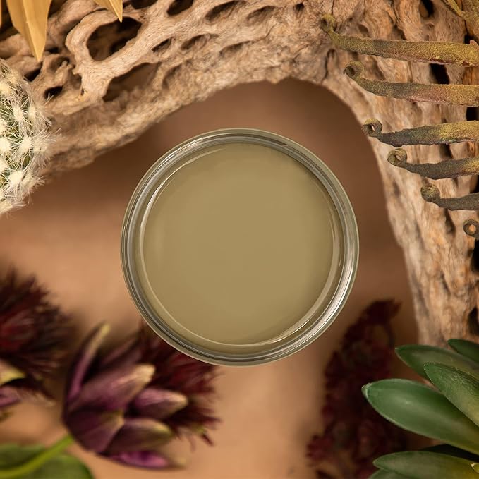 Dixie Belle Silk All-in-One Mineral Paint - Cactus (16oz) - Muted Green Water Based Built-In Primer + Topcoat for Wood + Metal - Durable Furniture Paint - Low Reflective Finish