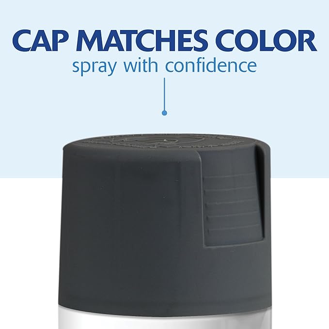 Rust-Oleum 342061 Painter's Touch 2X Ultra Cover Spray Paint, 12 oz, Satin Charcoal Gray