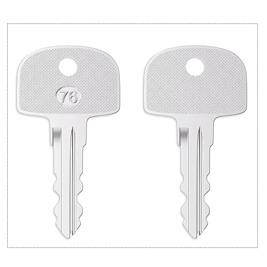 Heavy Ignition Keys, 10Pcs 601 Sany Key fits Sany Mini Excavator Crane Ferris Mower Bluebird School Polaris Snowmobile Broderson and Bus