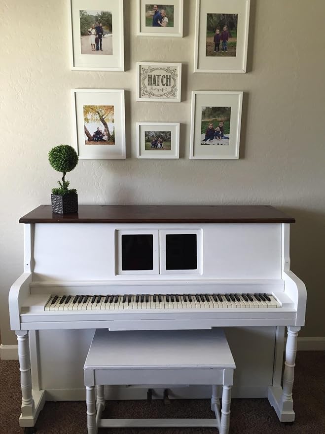 Renaissance Chalk Finish Paint - Snow 1 Pint (16oz) - Chalk Furniture & Cabinet Paint - Non Toxic, Eco-Friendly, Superior Coverage, Snow 01