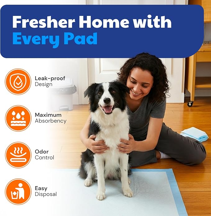 American Kennel Club Scented Puppy Training Pads with Ultra Absorbent Quick Dry Gel – 22 x 22 Pee Pads for Dogs - Fresh Scented - Pack of 100