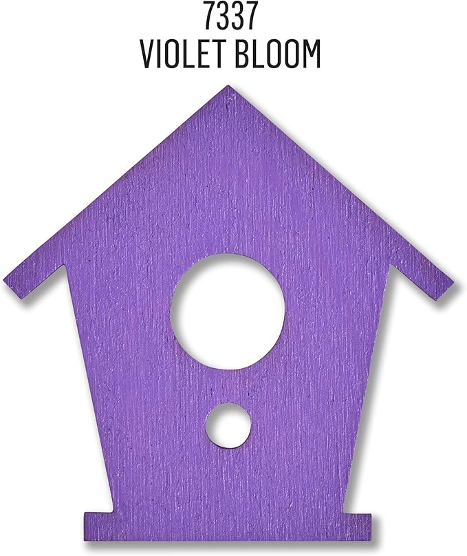 FolkArt Outdoor Acrylic Craft Paint, Gloss Finish, Violet Bloom, 2 fl oz