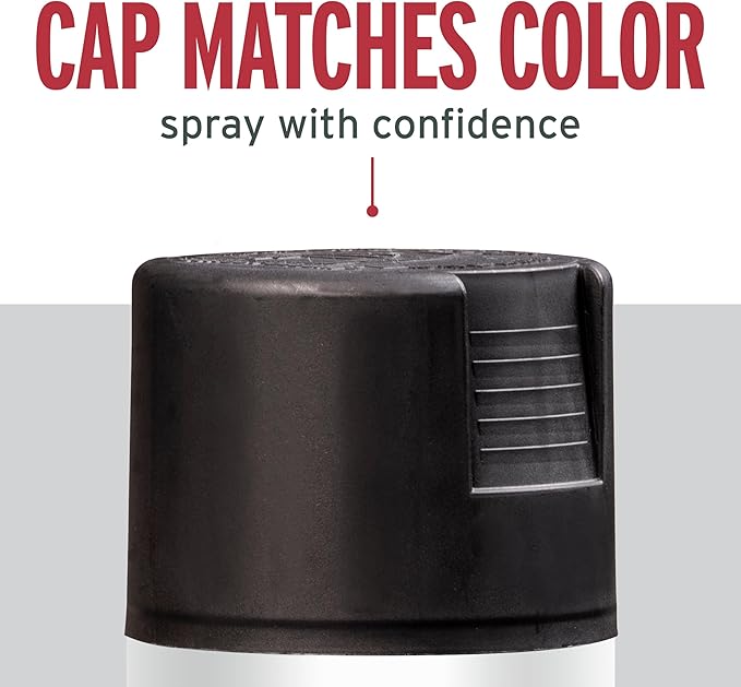 Rust-Oleum 7776830 Stops Rust Spray Paint, 12 oz, Flat Black