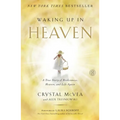 Waking Up in Heaven: A True Story of Brokenness, Heaven, and Life Again - Paperback