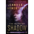 The Burning Shadow: An Origin Novel - Paperback