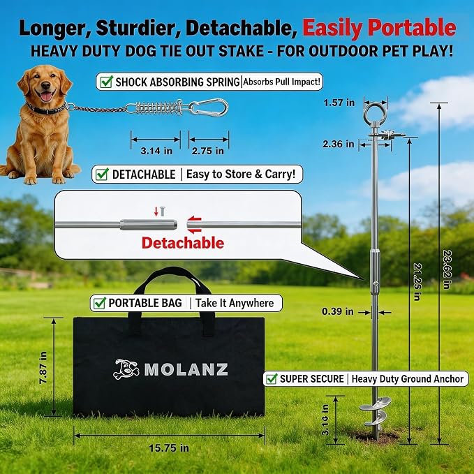 Heavy Duty Dog Tie Out Stake with Shock Absorbing Spring, 20ft Cable, 304 Stainless Steel Anchor, 2x360° No Tangle Swivel for Large Medium Small Dogs, Yard & Camping (Stake/20ft Cable/250lbs)