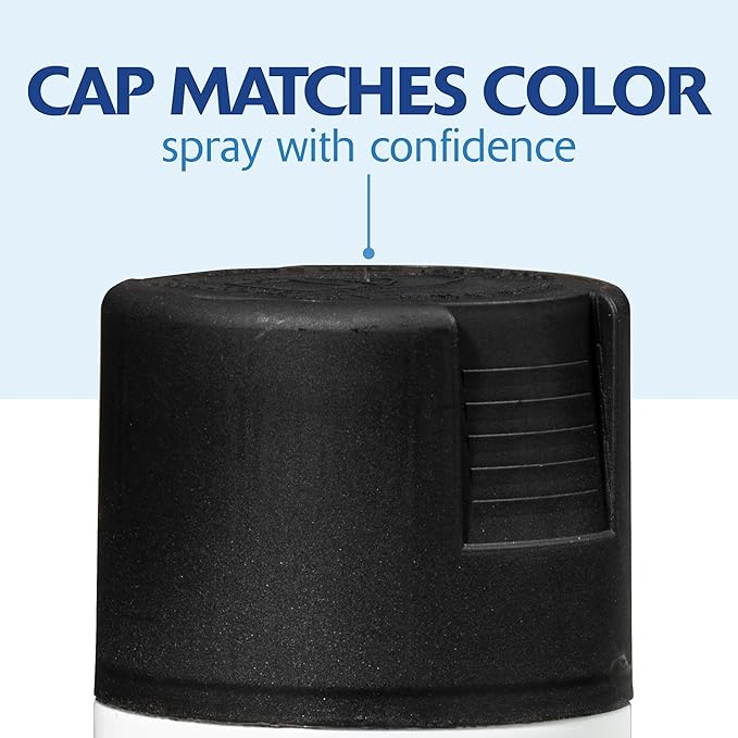 Rust-Oleum 331182-6PK Painter's Touch 2X Ultra Cover Spray Paint, 12 oz, Ultra Matte Black, 6 Pack