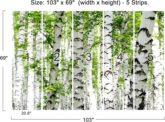 Cliouar-Photo Wallpaper Birch Forest Landscape Trees Poster Nature Lovers Green Forest Bedroom Decoration Mural 103" x 69"(Not Peel and Stick)