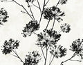 NextWall Harry & Grace Dandelion Floral Peel and Stick Wallpaper (Ebony)