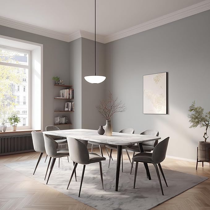 EVOLVE Paint & Primer: Environment-friendly, Low Sheen with One-coat Coverage for Interior & Exterior surfaces (Graphite Gray, 1-Gallon)