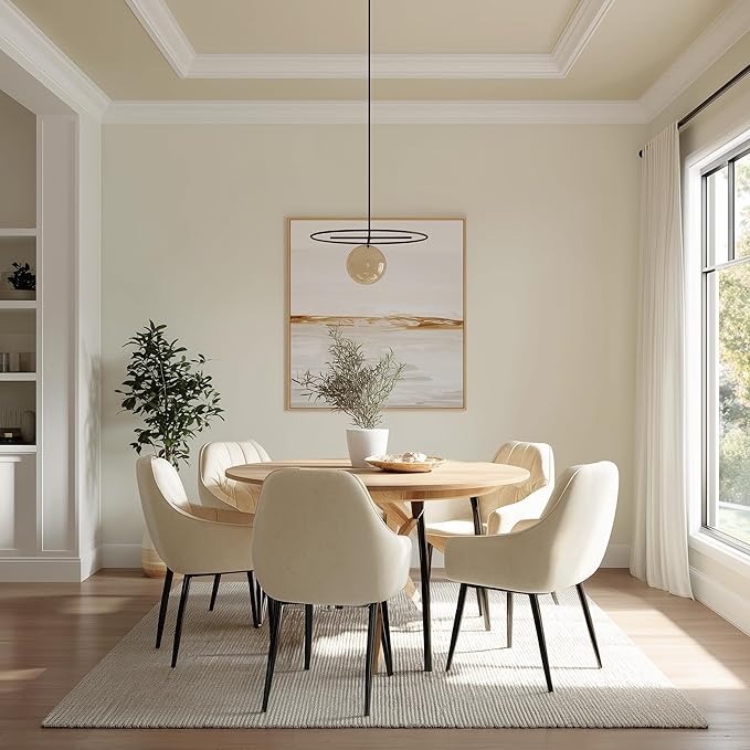 EVOLVE Interior Paint & Primer, Eggshell (Coconut Cream), 1 Gallon – One-Coat Coverage, Excellent Hide, Low VOC, Low Odor, Washable Paint for Walls, Doors & Trim