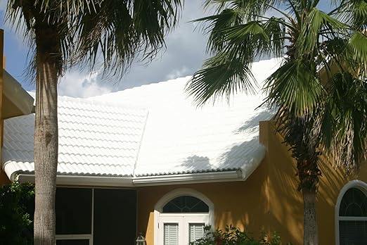 SUPERMAX Elastomeric Roof Coating (Bright White, 1 Gallon)