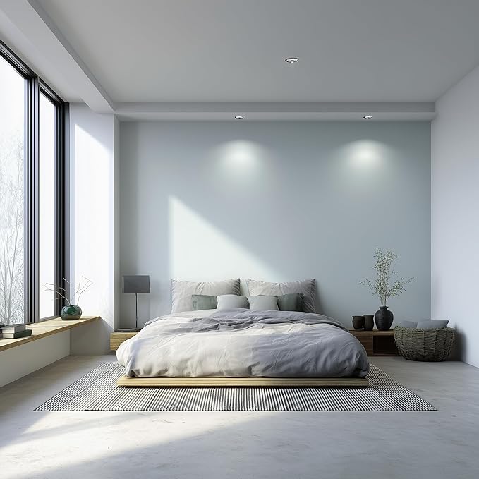 EVOLVE Paint & Primer: Environment-friendly, Low Sheen with One-coat Coverage for Interior & Exterior surfaces (Pebble Gray, 1-Gallon)