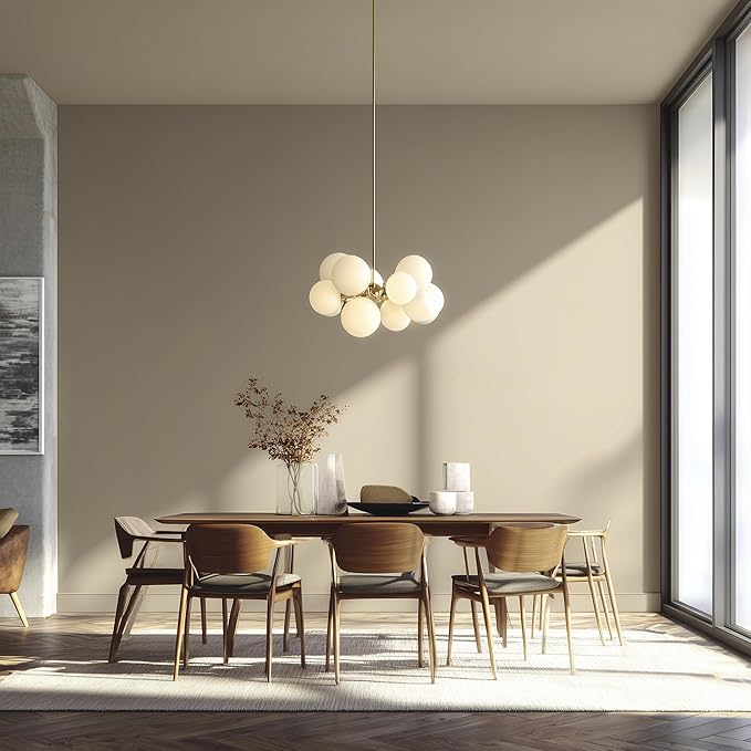 EVOLVE Paint & Primer: Environment-friendly, Low Sheen with One-coat Coverage for Interior & Exterior surfaces (Vanilla White, 1-Gallon)