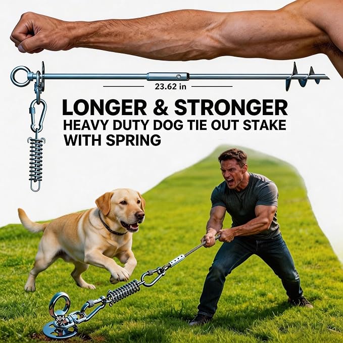 Heavy Duty Dog Tie Out Stake with Shock Absorbing Spring, 20ft Cable, 304 Stainless Steel Anchor, 2x360° No Tangle Swivel for Large Medium Small Dogs, Yard & Camping (Stake/20ft Cable/250lbs)