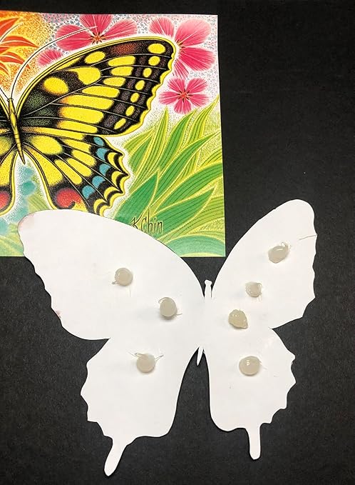 The Best Silicone for 3D Crafts & Card Making. This is a Clear Craft Glue Adhesive. Acid Free and Odorless. Made in USA. No Fancy Packaging just Great Silicone. Perfect for Paper Tole & Card Making