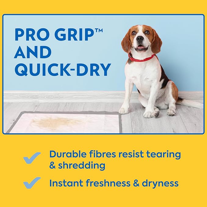 OUT! Petcare Puppy Pads XXL, Heavy Duty, Leak Proof Pee Pads for Dogs, Potty Training & Housebreaking, Puppy Essentials (26"x30", 30 Count)