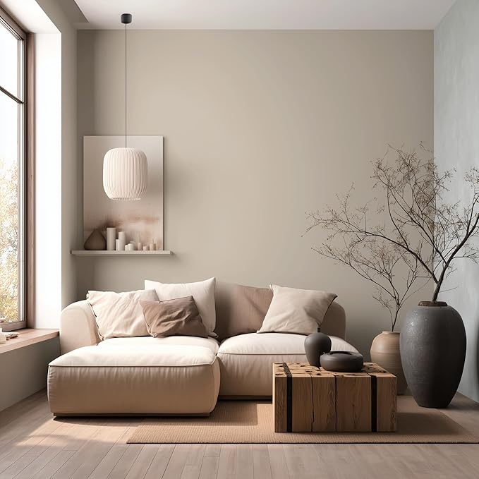 EVOLVE Paint & Primer: Environment-friendly, Low Sheen with One-coat Coverage for Interior & Exterior surfaces (Beach Beige, 1-Gallon)