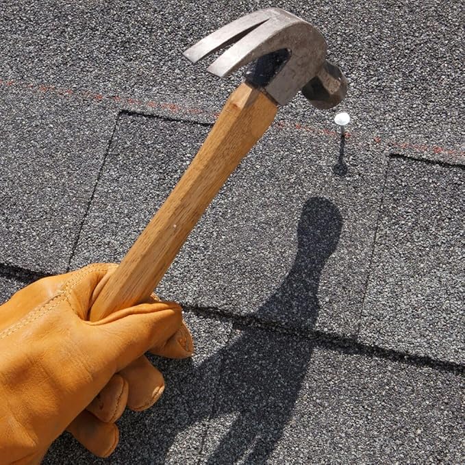 Grip-Rite 112EGRFG5 1-1/2-Inch Electro-Galvanized Roofing Nail, 5 Pounds