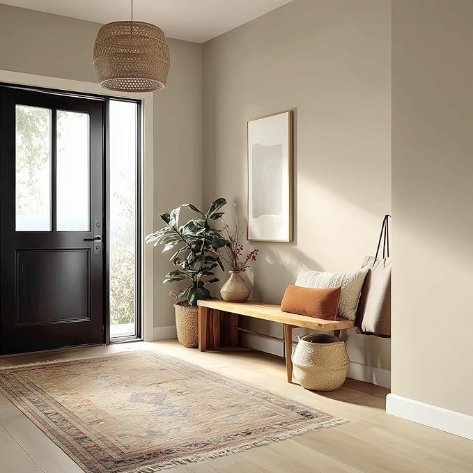 EVOLVE Paint & Primer: Environment-friendly, Low Sheen with One-coat Coverage for Interior & Exterior surfaces (Vanilla White, 1-Gallon)