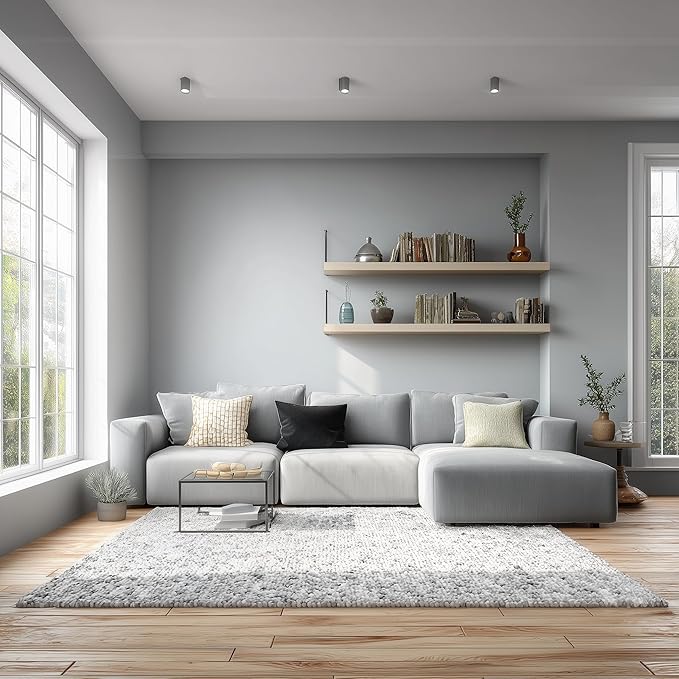 EVOLVE Interior Paint & Primer, Eggshell (Silver Gray), 1 Gallon – One-Coat Coverage, Excellent Hide, Low VOC, Low Odor, Washable Paint for Walls, Doors & Trim
