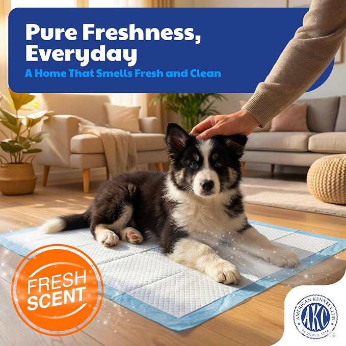 American Kennel Club Scented Puppy Training Pads with Ultra Absorbent Quick Dry Gel – 22 x 22 Pee Pads for Dogs - Fresh Scented - Pack of 100
