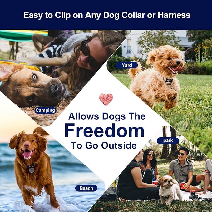 Tie Out Cable for Dogs Up to 300lbs,65ft Extra Strong 1000lbs Break Strength Tie-Out Tether Trolley Training Lead,Dog Run Cable for Yard Garden Park Camping Outside (Turquoise 65FT)