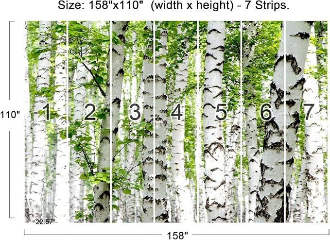 Cliouar-Photo Wallpaper Birch Forest Landscape Trees Poster Nature Lovers Green Forest Bedroom Decoration Mural 158"x110"(Not Peel and Stick)