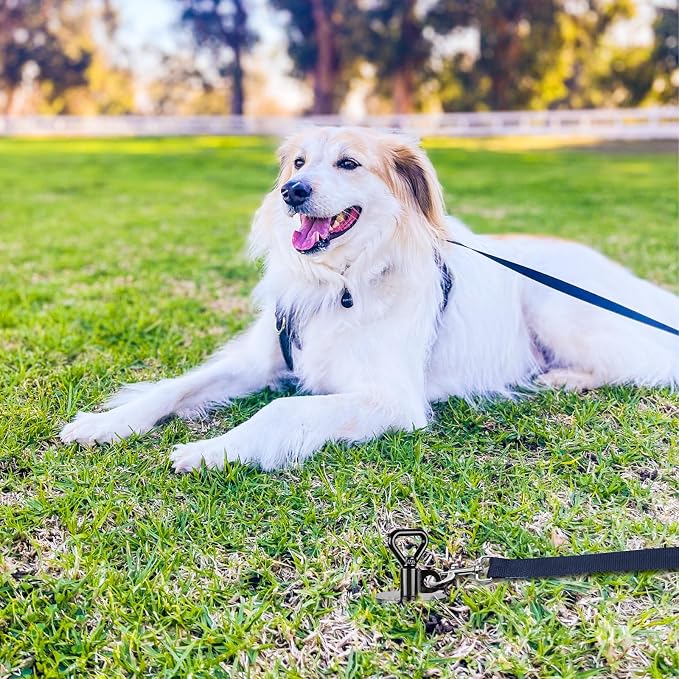 SELEWARE Dog Tie Out Stake Outdoor Dog Ground Anchor Free Swivel Dog Anchor | 2Pcs 15" Anti-Rust Heavy Duty Dog Stake for Large Dogs up to 220 lbs, Easy Install with Twist Rod for Yard, Camping Outside