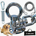 Heavy Duty Dog Tie Out Stake with Shock Absorbing Spring, 20ft Cable, 304 Stainless Steel Anchor, 2x360° No Tangle Swivel for Large Medium Small Dogs, Yard & Camping (Stake/20ft Cable/250lbs)