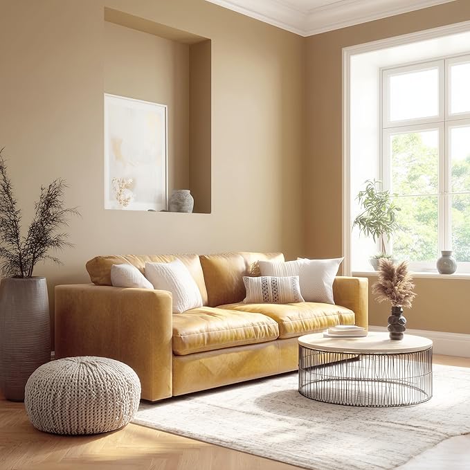 EVOLVE Paint & Primer: Environment-friendly, Low Sheen with One-coat Coverage for Interior & Exterior surfaces (Burlap Brown, 5-Gallon)