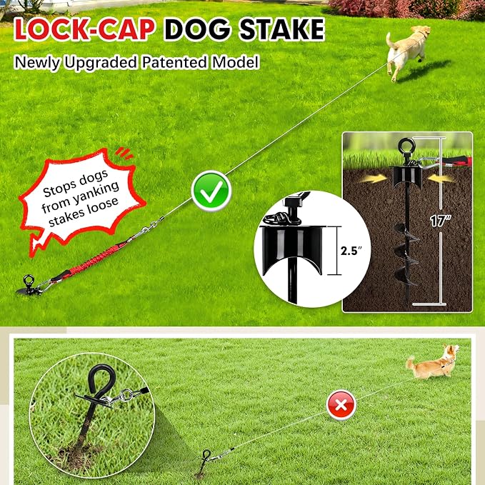 Snagle Paw Dog Tie Out Cable and Stake with Lock-Cap,Heavy Duty 20FT Dog Yard Leash & Stake with Shock Absorbing Bungee Tether,Rust Proof Ground Anchor for Yard, Beach, Camping & Outdoor,up to 360 Lbs