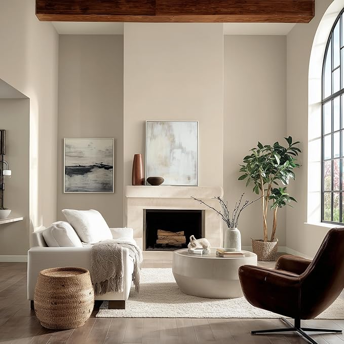 EVOLVE Paint & Primer: Environment-friendly, Low Sheen with One-coat Coverage for Interior & Exterior surfaces (Vanilla White, 1-Gallon)