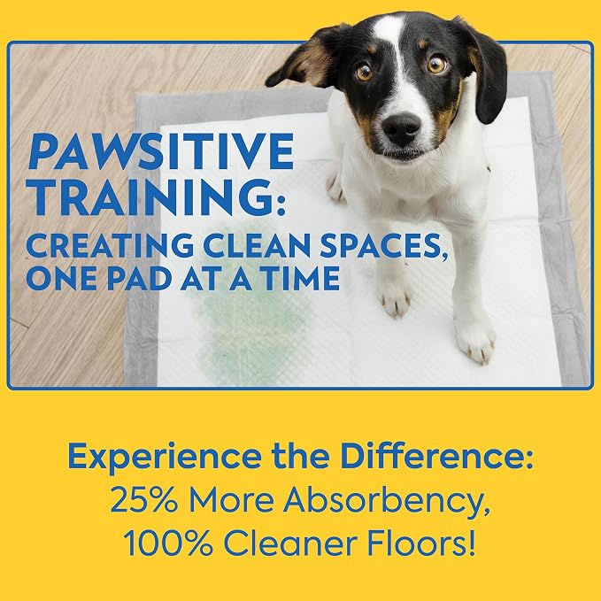 OUT! Petcare Puppy Pads XXL, Heavy Duty, Leak Proof Pee Pads for Dogs, Potty Training & Housebreaking, Puppy Essentials (26"x30", 30 Count)