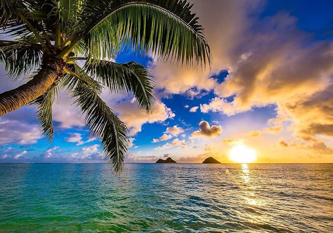 Jdayda Sunset Beach Wallpaper Hawaiian Seascape Palm Tree | 106"x75" Not Self-Adhesive Wall Mural for Bedroom Living Room