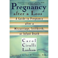Pregnancy After a Loss: A Guide to Pregnancy after a Miscarriage, Stillbirth, or Infant Death - Paperback