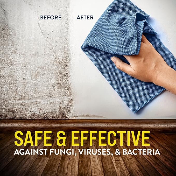 Bio Cide Laboratories BioCide 100 - Multi-Purpose Cleaner and Disinfectant Spray - Professional Grade Bacteria, Virus Mildew, and Fungi Remover - 1-Gallon - Bottle