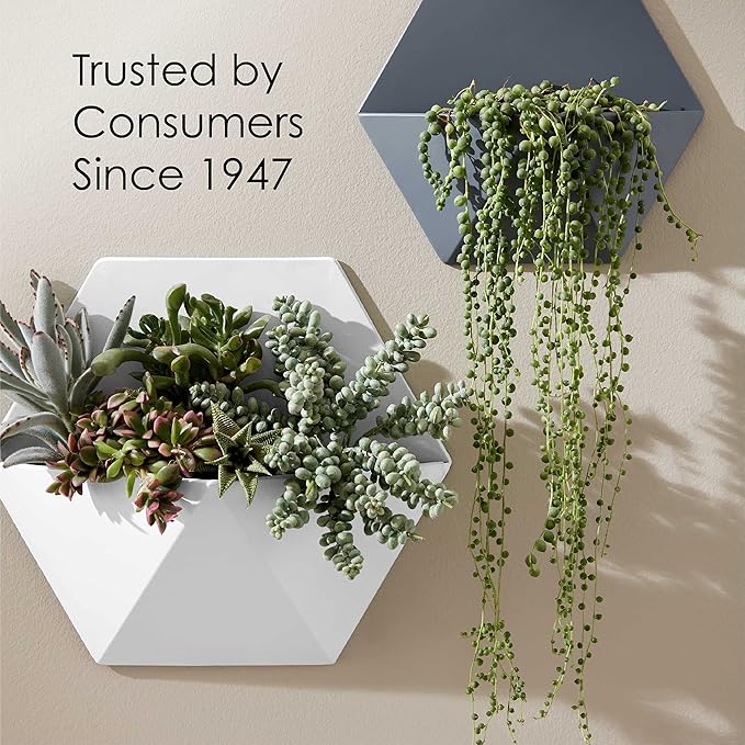Krylon K05647007 COLORmaxx Acrylic Latex Brush On Paint for Indoor/Outdoor Use, 1 Quarts (Pack of 1), Black, 31 Fl Oz