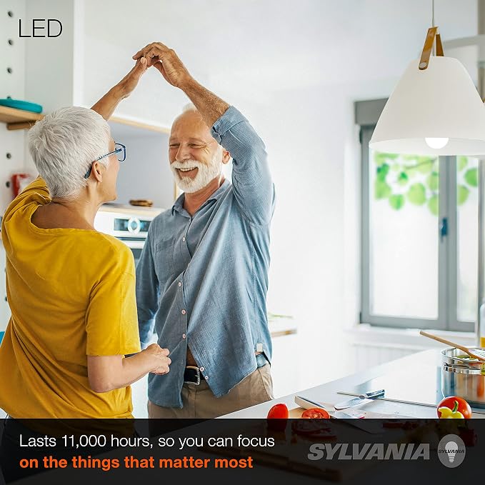 Sylvania LED Light Bulb, 100W Equivalent A19, Efficient 14W, Medium Base, Frosted Finish, 1500 Lumens, Daylight (79294) (Pack of 1)