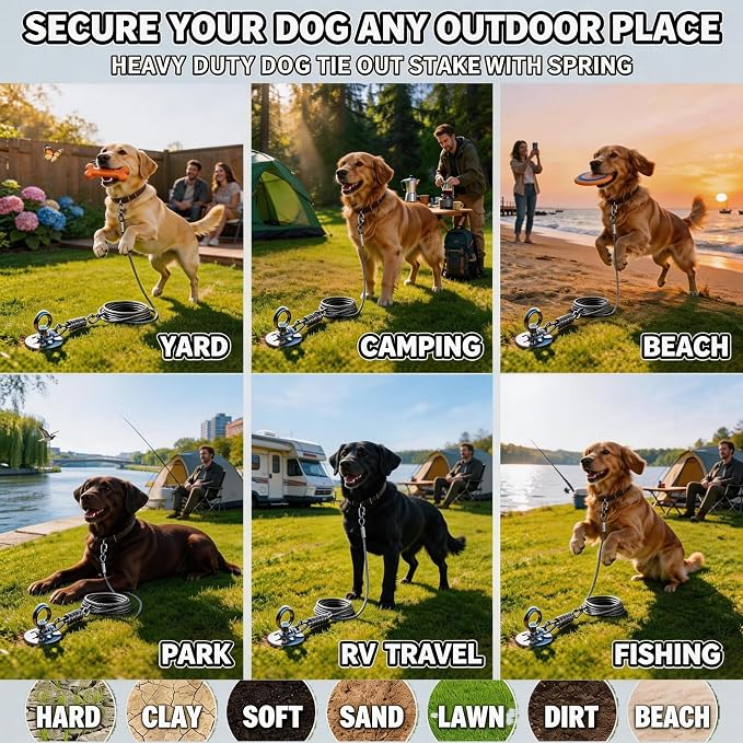 Heavy Duty Dog Tie Out Stake with Shock Absorbing Spring, 20ft Cable, 304 Stainless Steel Anchor, 2x360° No Tangle Swivel for Large Medium Small Dogs, Yard & Camping (Stake/20ft Cable/250lbs)