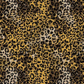 Black Gold Leopard Print Peel and Stick Wallpaper, 17.3" x 120" | Waterproof Removable Self Adhesive Wallpaper, Unique Funky Cheetah Contact Paper for Bedroom, Bathroom, Decor