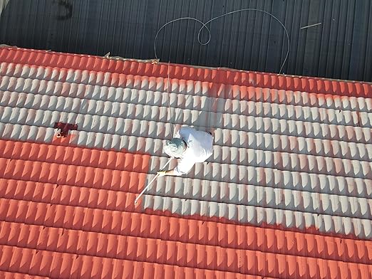 SUPERMAX Elastomeric Roof Coating (Red Earth, 5 Gallon)