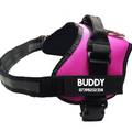 BUDDY