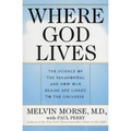 Where God Lives: The Science of the Paranormal and How Our Brains Are Linked to the Universe - Paperback