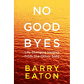 No Goodbyes: Life-Changing Insights from the Other Side - Paperback