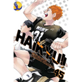 Haikyu!!, Vol. 45 - Paperback