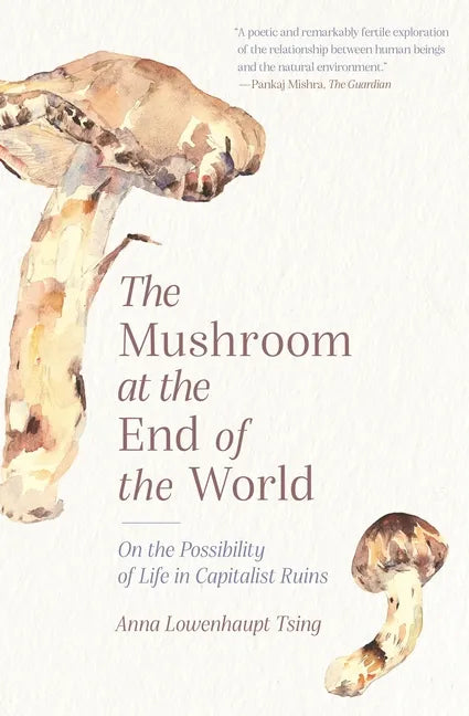 The Mushroom at the End of the World: On the Possibility of Life in Capitalist Ruins - Paperback