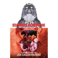 Stained Fortune - Paperback