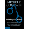 Policing the Womb: Invisible Women and the Criminalization of Motherhood - Paperback