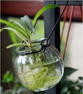 Glass Hydroponic Container Vase